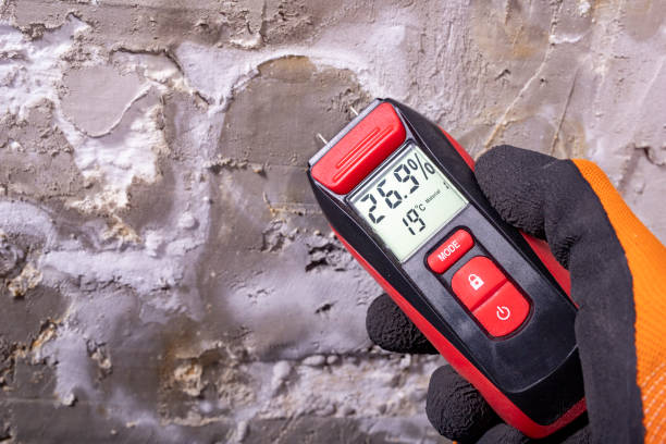Best Certified Mold Removal  in Los Ranchos De Albuquerque, NM